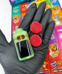 Buddha Bear Dual Chamber 2G Disposable